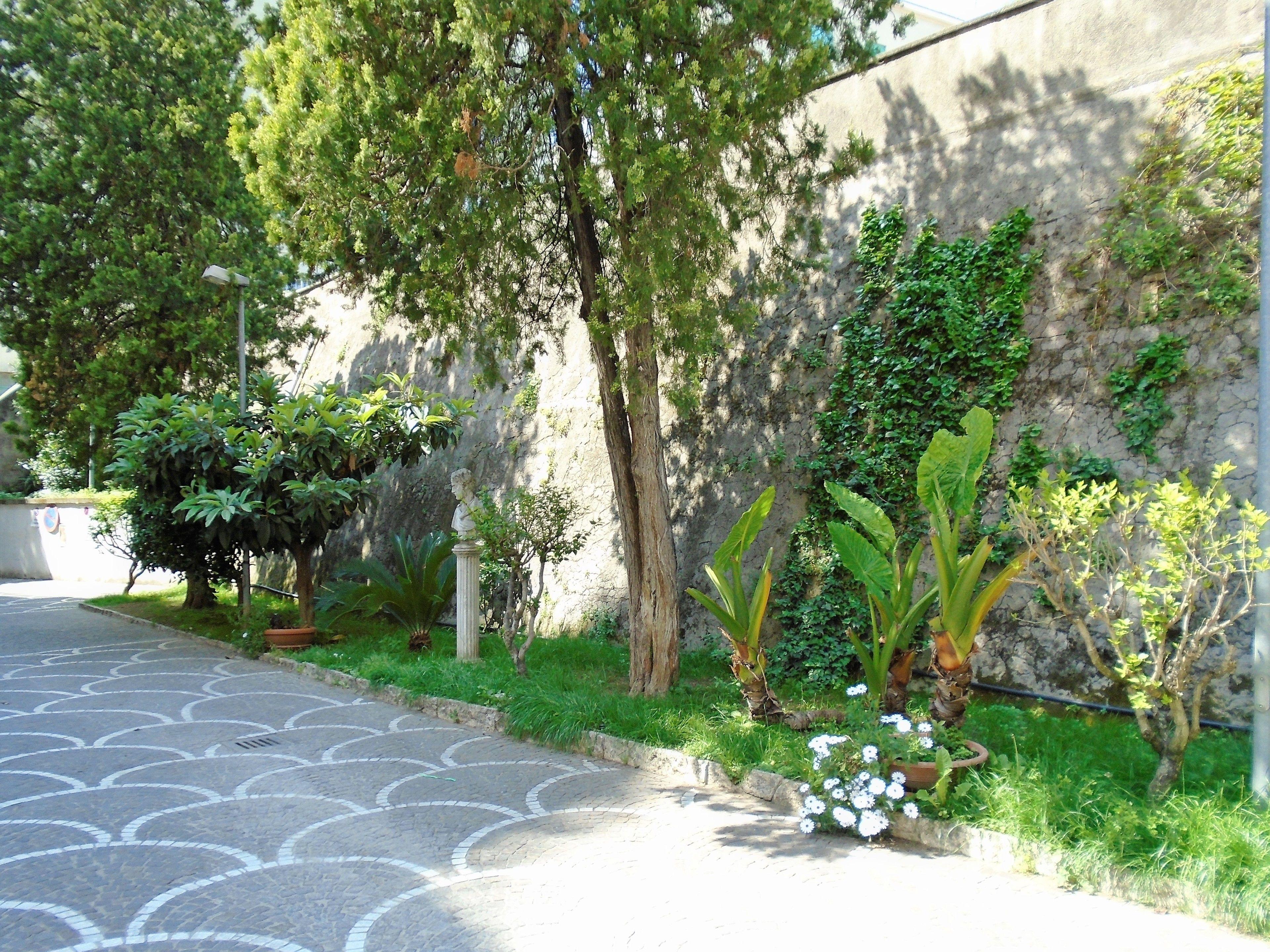 La Tana Di Sofia — Foto 1